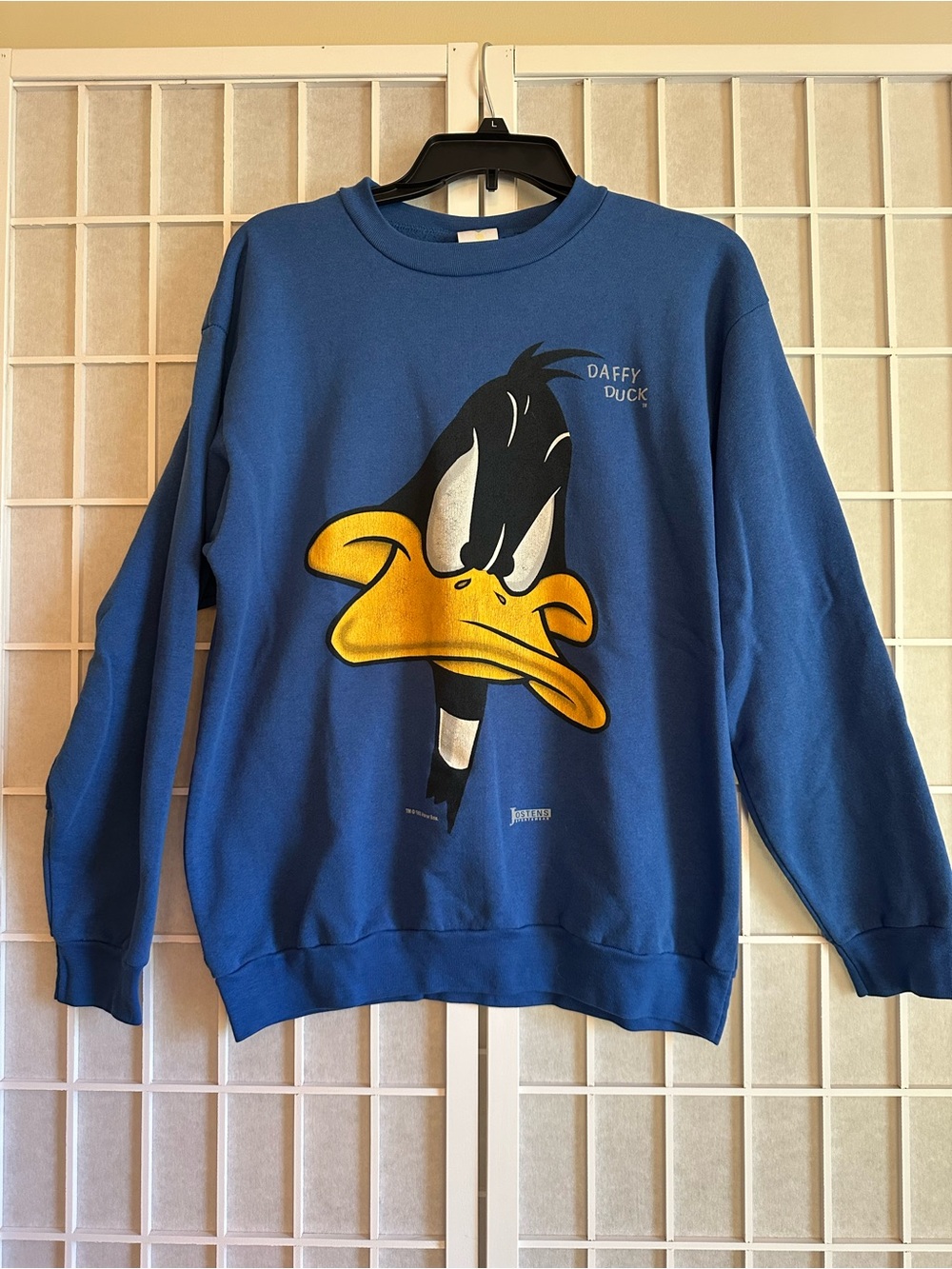 Vintage 1993 Daffy Duck Sweatshirt